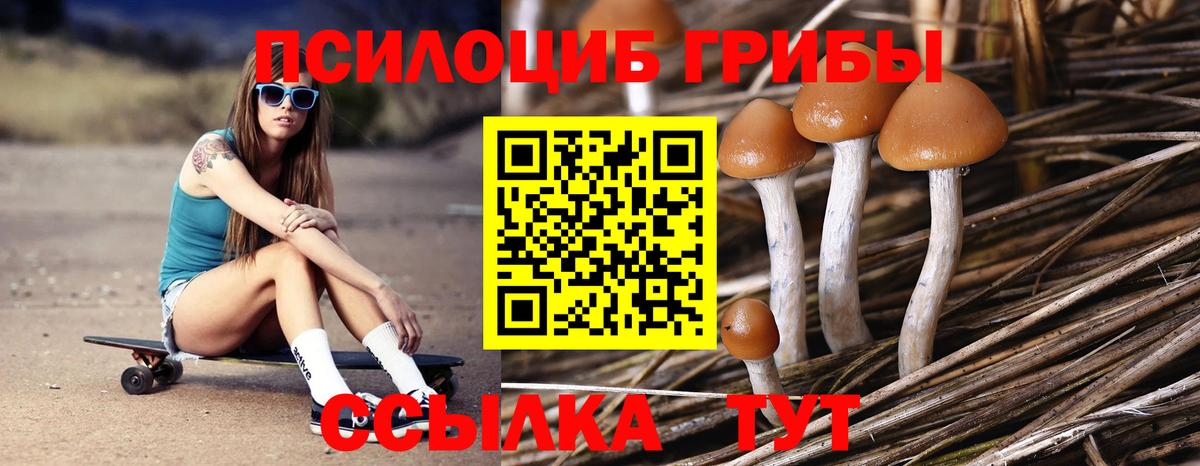 Кировск  Галлюциногенные грибы GOLDEN TEACHER  Вход с VPN  Псилоцибиновые грибы GOLDEN TEACHER 